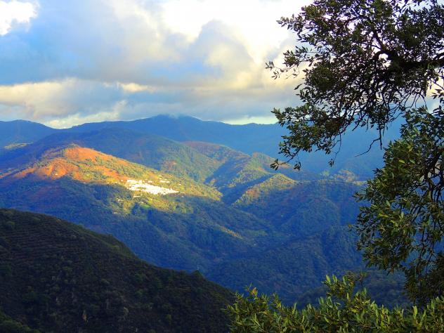 El entorno Genalguacil, BENARRABA